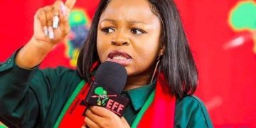 EFF Divided as Naledi Chirwa Slams Ndlozi Over Praise for Ramaphosa’s Handling of Senzo Mchunu