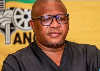 Political Heavyweights Mbalula and Malema to Visit David Mabuza’s Home