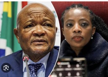 Public Protector Kholeka Gcaleka Faces Tough Test in Probe of Former Boss Senzo Mchunu