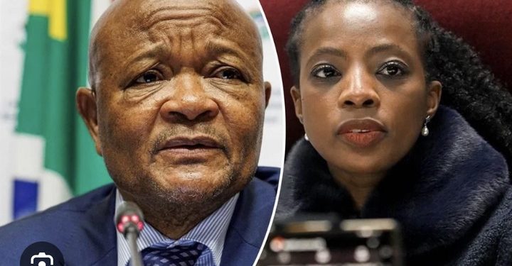Public Protector Kholeka Gcaleka Faces Tough Test in Probe of Former Boss Senzo Mchunu