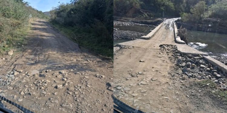 Deadly Road Puts Students at Risk: Idutywa Community Pleads for Help