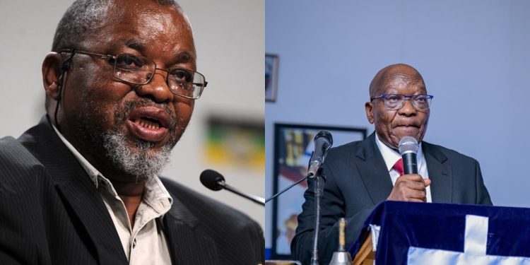 Mantashe Accuses MK Party of Adopting Mkhwanazi’s Concerns for Political Gain