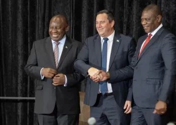 South Africa’s Unity Government Survives Budget Vote, But Future Remains Uncertain