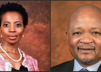 Public Protector Launches Probe Into Police Minister Over Interference Allegations