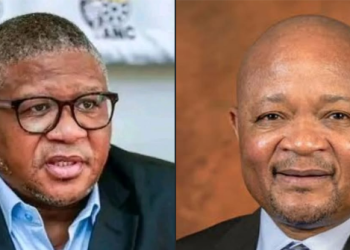 Fikile Mbalula says Mchunu will not step aside from ANC duties
