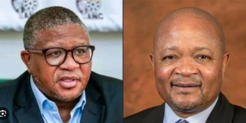 Fikile Mbalula says Mchunu will not step aside from ANC duties