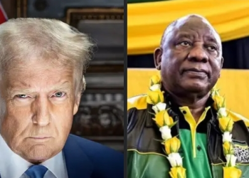 Brown Mogotsi Drags Police Minister Into Growing Scandal