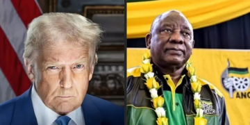 Brown Mogotsi Drags Police Minister Into Growing Scandal