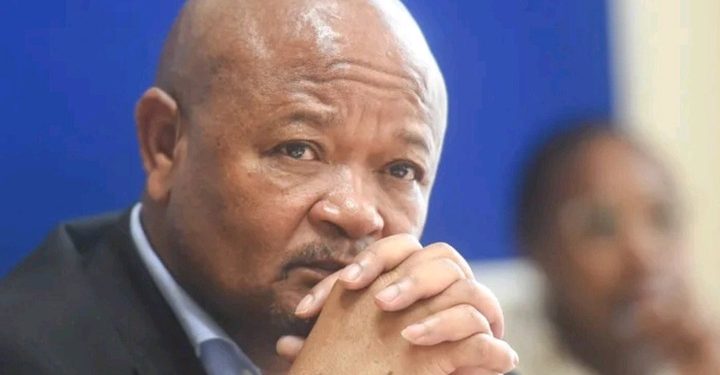 Police Minister Denies MK Party’s Claims Against Ramaphosa Over Special Leave Decision