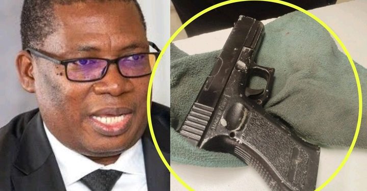 Gauteng Premier Panyaza Lesufi Firearms Photo Sparks Mixed Reactions