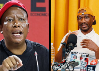 Ex-Advocate Teffo Accuses Julius Malema, Ministers of Plotting His 17-Month Imprisonment