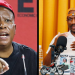 Ex-Advocate Teffo Accuses Julius Malema, Ministers of Plotting His 17-Month Imprisonment