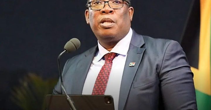 Gauteng Premier Calls for Action on Undocumented Migrants