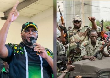 “Unverified Coup Allegations Against Ex-MKP Leader Shivambu Spark Political Storm”