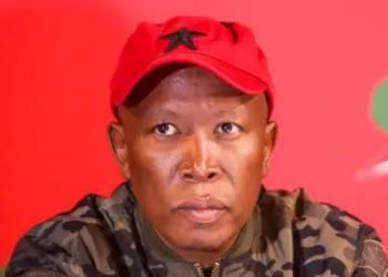 EFF Challenges Ramaphosa Over Acting Police Minister Appointment