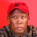 EFF Challenges Ramaphosa Over Acting Police Minister Appointment