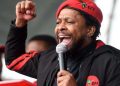 Ndlozi Warns of “Dangerous Times” as Democracy Faces Alleged Plot