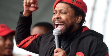 Ndlozi Warns of “Dangerous Times” as Democracy Faces Alleged Plot