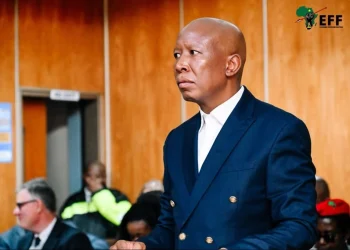 Prosecutors Declare Malema “Guilty as Charged” in Firearm Case as Political Tensions Flare