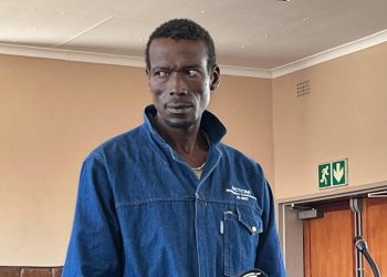 Limpopo Man Accused of Killing and Dismembering Mother, Case Postponed
