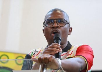 ANC Youth League President Criticizes Former Leader Zuma in Controversial Remarks
