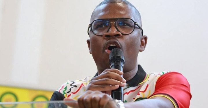 ANC Youth League President Criticizes Former Leader Zuma in Controversial Remarks