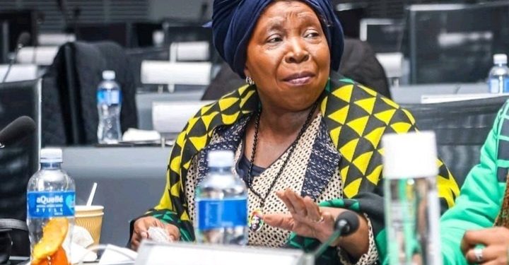 ANC Seeks Dlamini-Zuma’s Wisdom as Party Navigates Internal Shifts