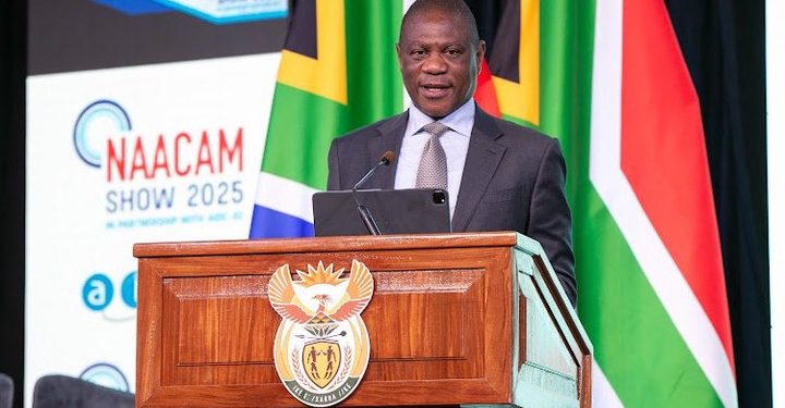 South Africa Seeks US Trade Deal to Protect Auto Industry Jobs