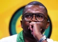 ANC Youth League Urges Home Affairs Minister to Act on Illegal Immigration and Corruption