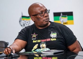 Gauteng Premier Ends “Tenders for Comrades,” Vows to Bring Services In-House