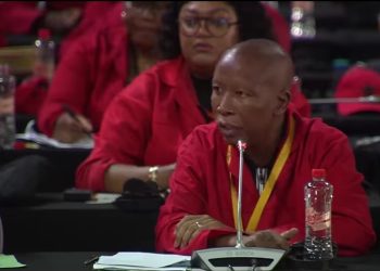 Malema Calls for Legalising Sex Work in South Africa, Citing Workers’ Rights