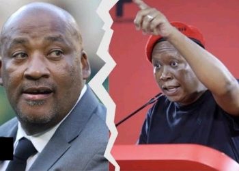 South African Minister Denies Racism Claims, Calls EFF Song Racist