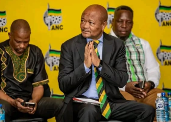 Senzo Mchunu Warns Party Could Collapse Without Urgent Action