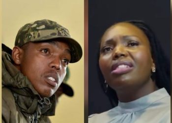 Zandile Dabula claims Nhlanhla Lux was planted operative in movement