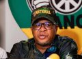 Mbalula Questions Reasons Behind Afrikaner Group’s Move to the U.S.