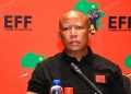 Malema Shifts Stance on Immigration Amid Youth Unemployment Crisis