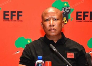 Malema Shifts Stance on Immigration Amid Youth Unemployment Crisis