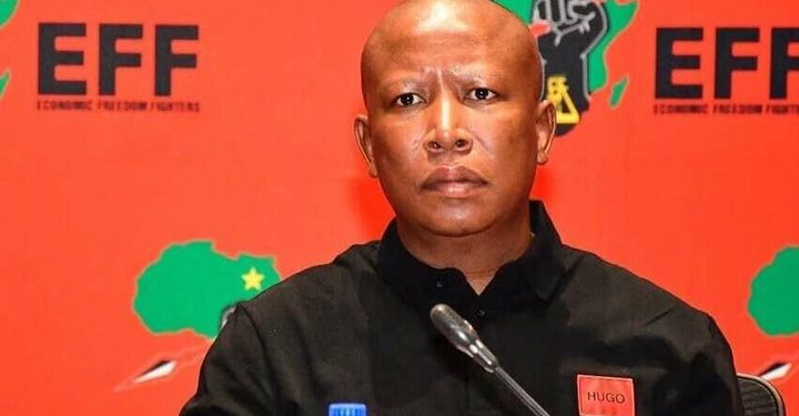Malema Shifts Stance on Immigration Amid Youth Unemployment Crisis