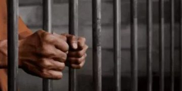 Three Mpumalanga Police Officers Remain in Custody Over Murder Case