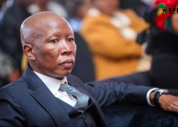 Court Finds EFF Leader Guilty of Hate Speech, Sparking Online Reaction