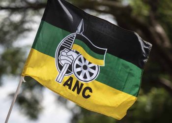 Top Politician Arrested for Alleged Murder of ANC Comrades