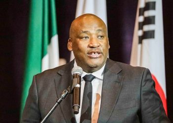 Sports Minister Gayton McKenzie Apologizes for Past Offensive Social Media Posts