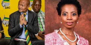 Public Protector Investigates Police Minister Over Alleged Interference in Cases