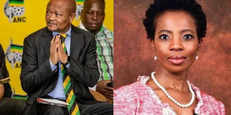 Public Protector Investigates Police Minister Over Alleged Interference in Cases