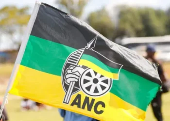 ANC Tightens Rules for Councillor Candidates Ahead of 2026 Elections