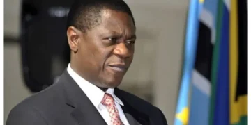 South Africa’s Deputy President Defends Undeclared Diamond Gift Amid Corruption Scrutiny