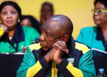 ANC’s KZN Task Team in Crisis as Radebe-Mabuyakhulu Rivalry Escalates