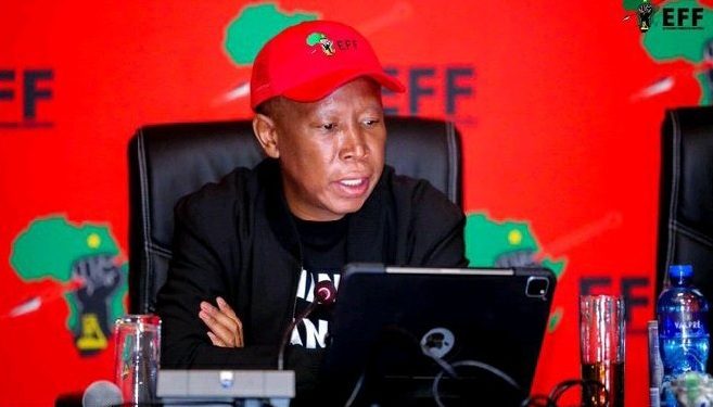 Malema Questions Zuma’s Forgiveness Amid Shifting Political Alliances