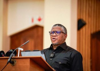 ANC’s Fikile Mbalula Seeks Court Order to Stop Anele Mda’s Allegations in Bozwana Murder Case