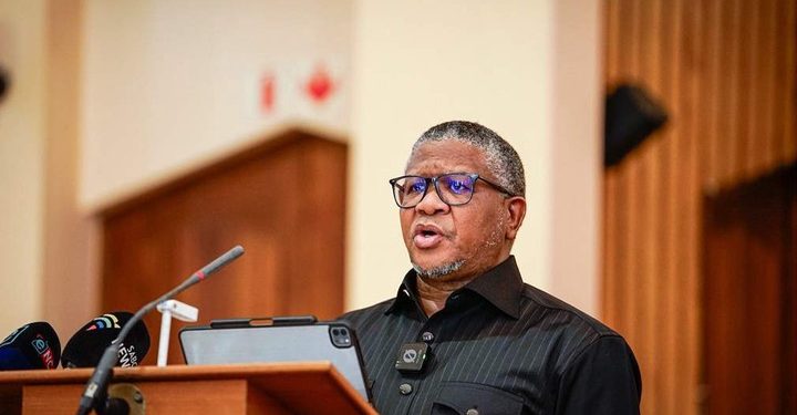 ANC’s Fikile Mbalula Seeks Court Order to Stop Anele Mda’s Allegations in Bozwana Murder Case